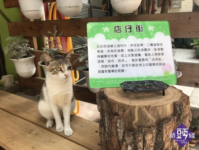 店仔街