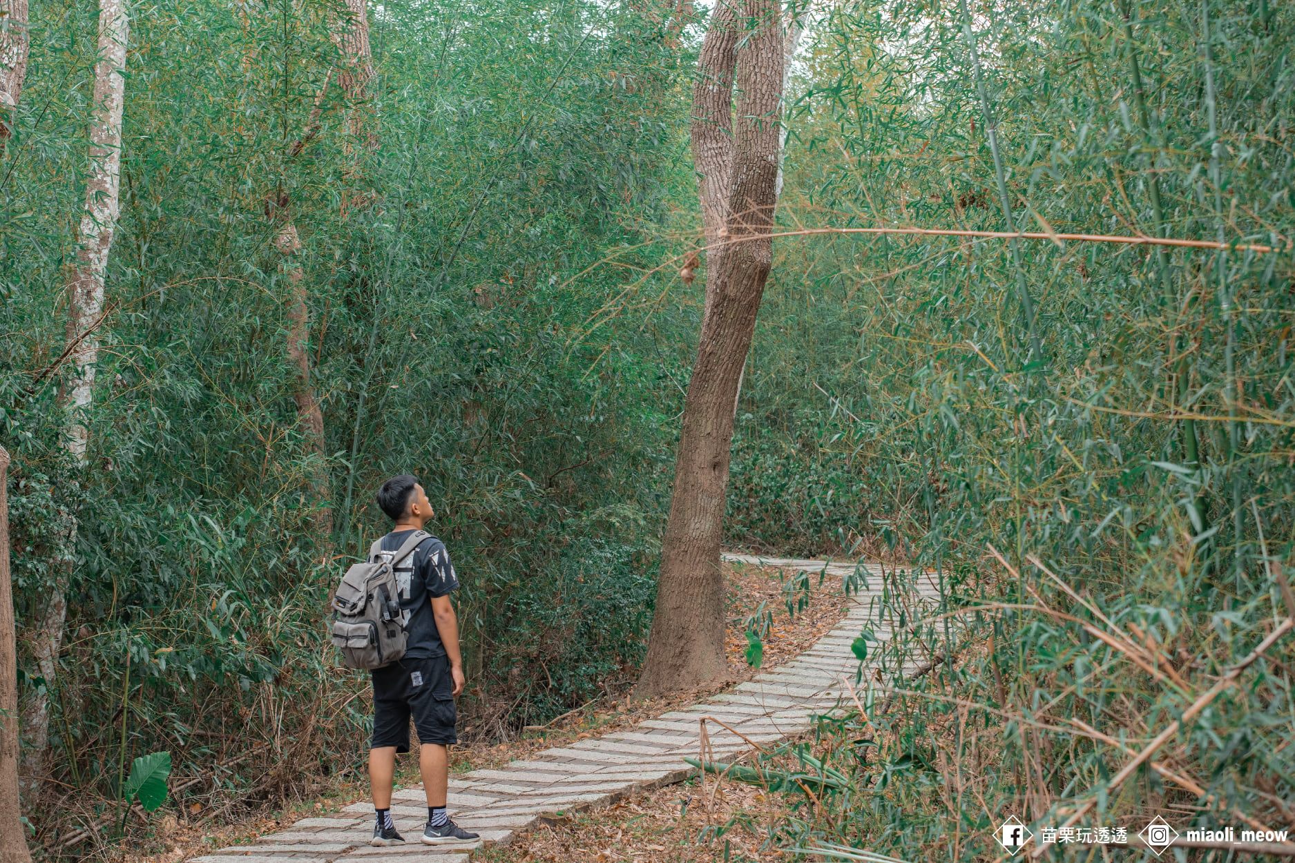 觀光步道森遊會」活動