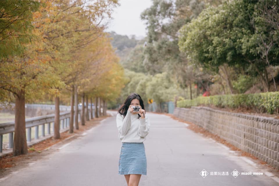 由翠綠逐漸轉成黃紅色