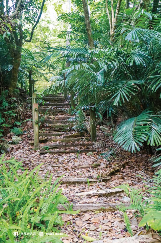 鳥嘴山步道