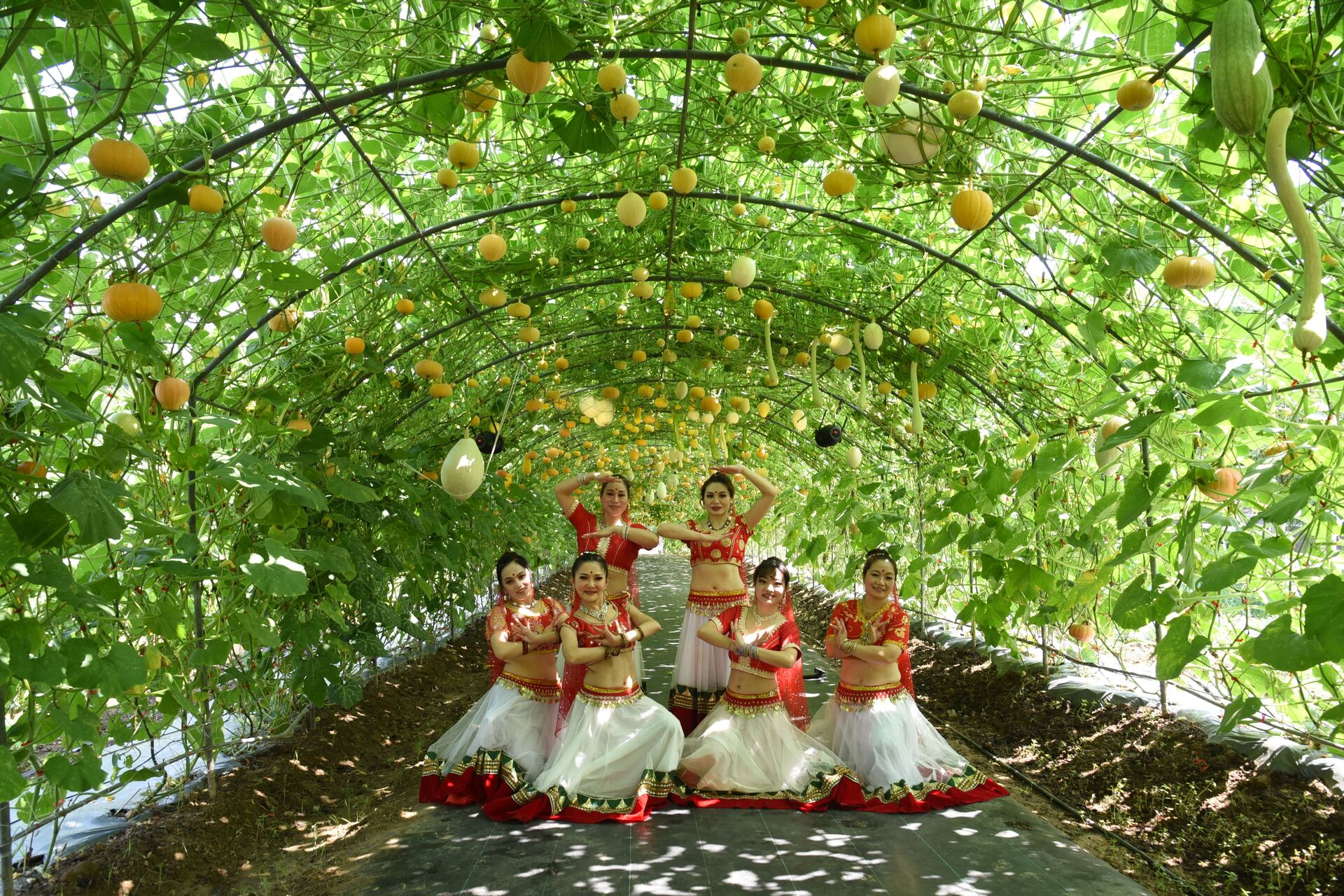 200公尺的南瓜隧道