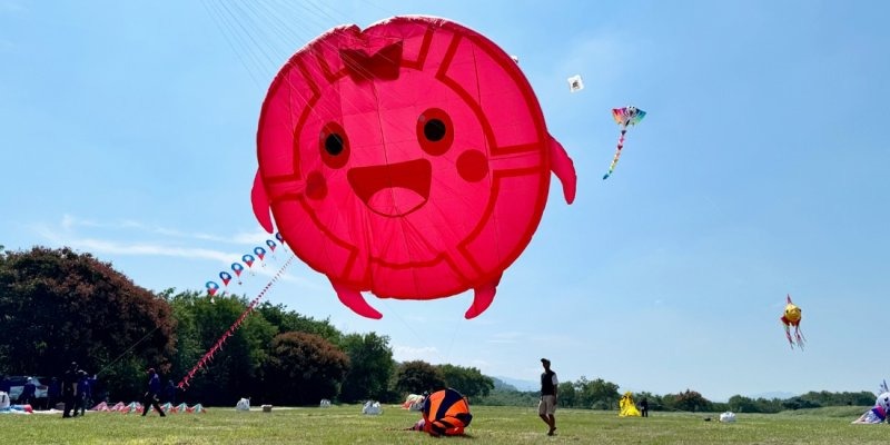 整合資源拚觀光 苗栗風箏節破10萬人潮