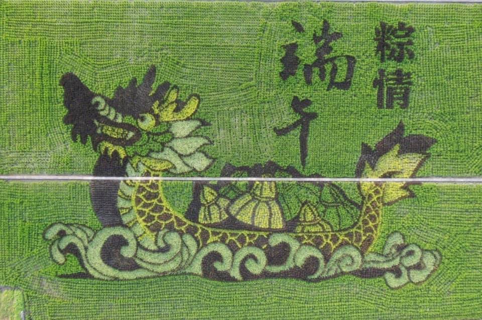 苑裡鎮「粽情端午」稻田彩繪