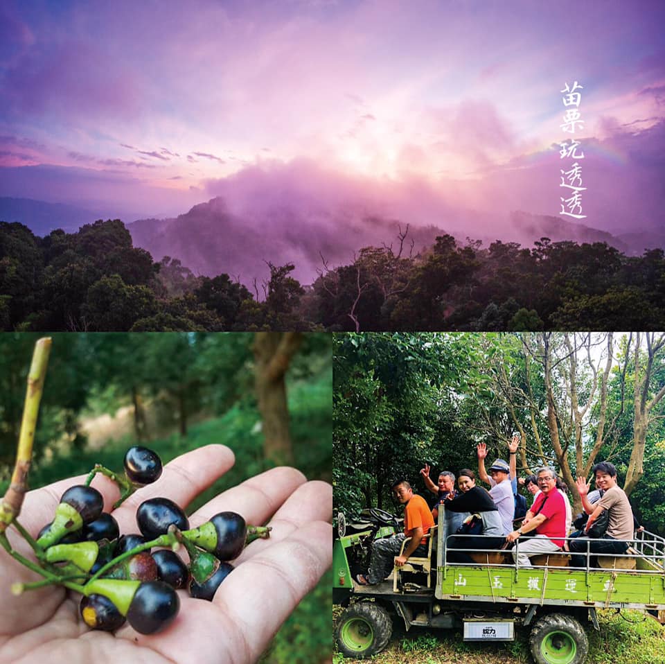 大湖鄉公所10/18～11/16針對親子及登山好手等不同族群推出深度遊程