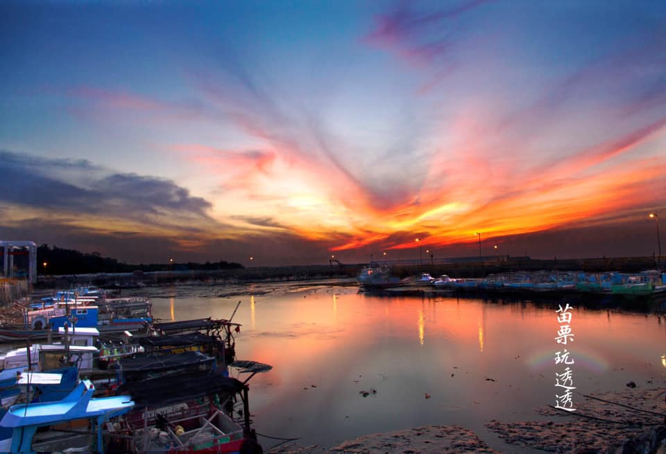 苗栗慢魚運動成果分享會