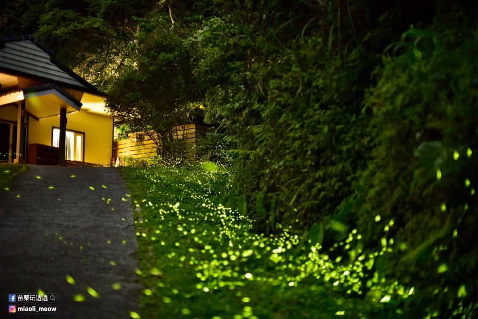 卓蘭鎮【岩川森林民宿】是知名的賞螢聖地