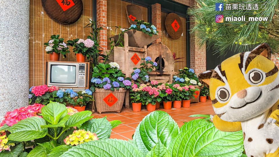 Cloudland Resort Cloudland Resort