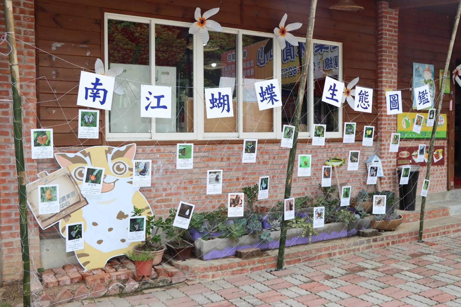 休閒農業區內更擁有豐富的農業、生態資源，是國內旅遊首選