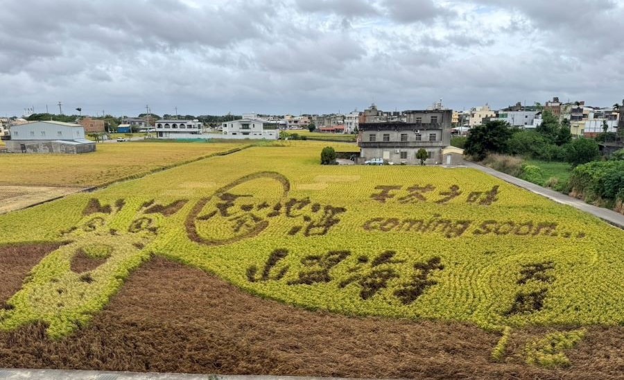 苑裡鎮農會從農業推廣逐漸發展綠色旅遊，每年的彩繪稻田更是吸引大批遊客前來。
