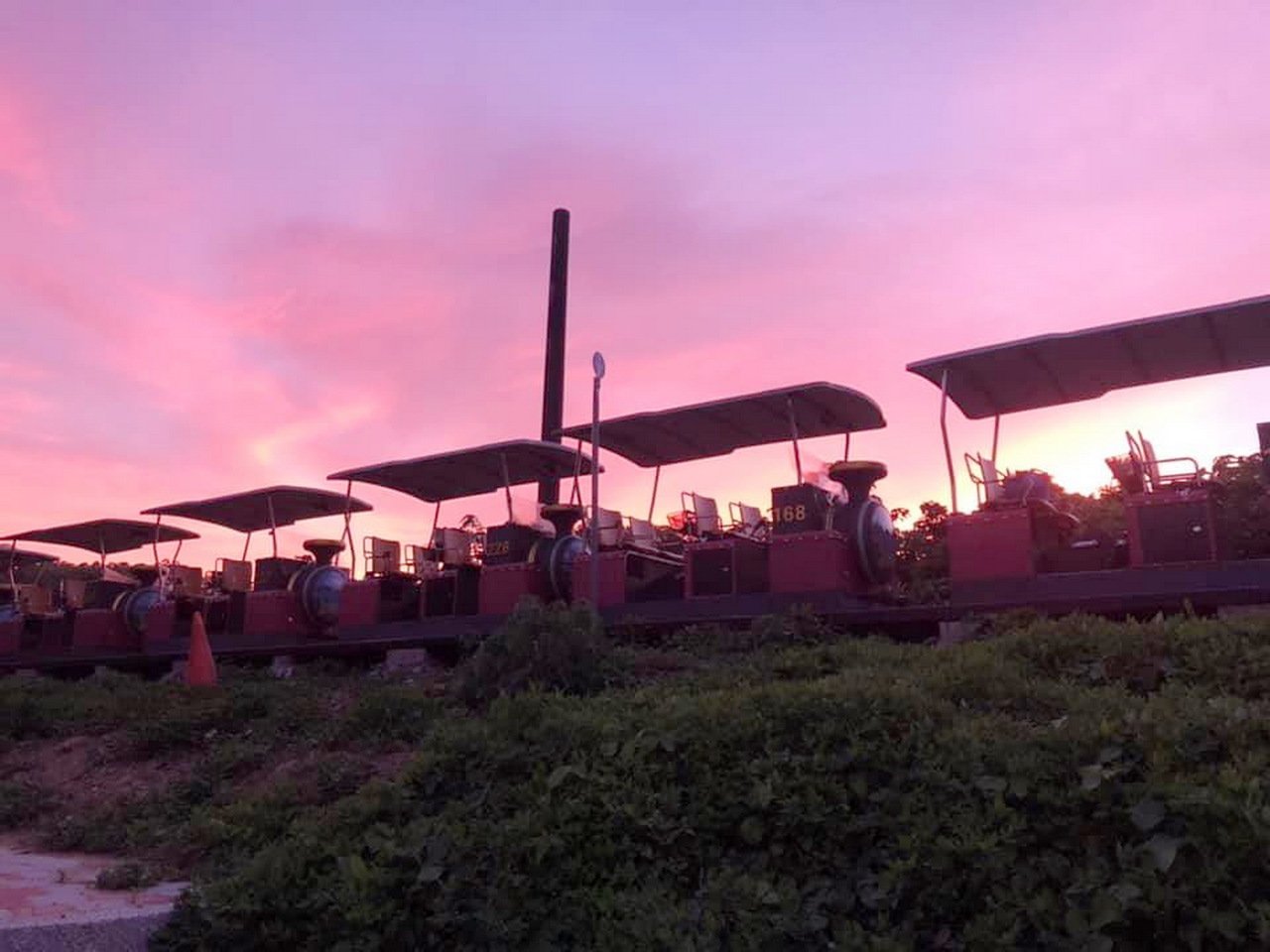 舊山線夕陽餘暉中的不同風情。