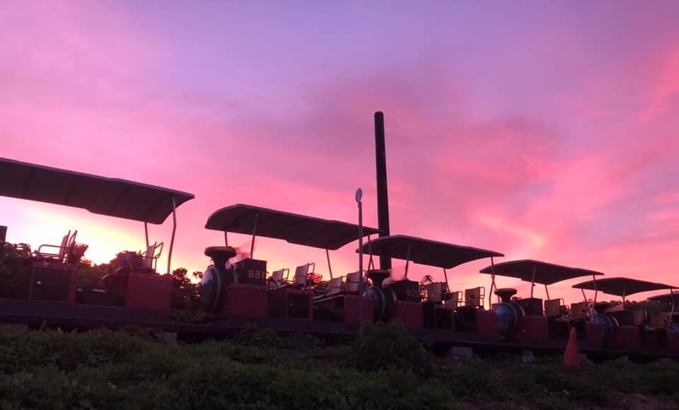 舊山線鐵道(圖片來源：祺峰休閒事業有限公司)