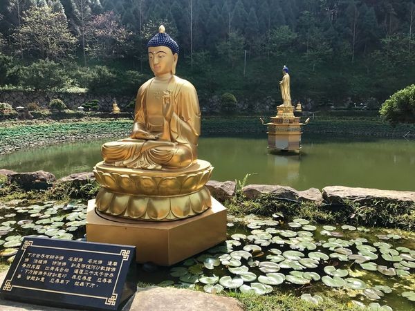 不同風格的賞櫻景點 不同風格的賞櫻景點
