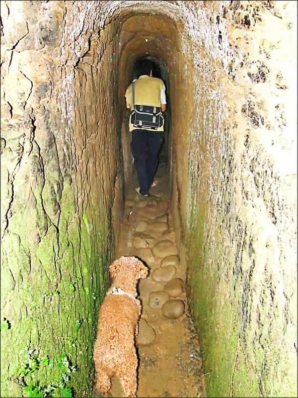 大窩地區的穿窿古圳，保留相當完整