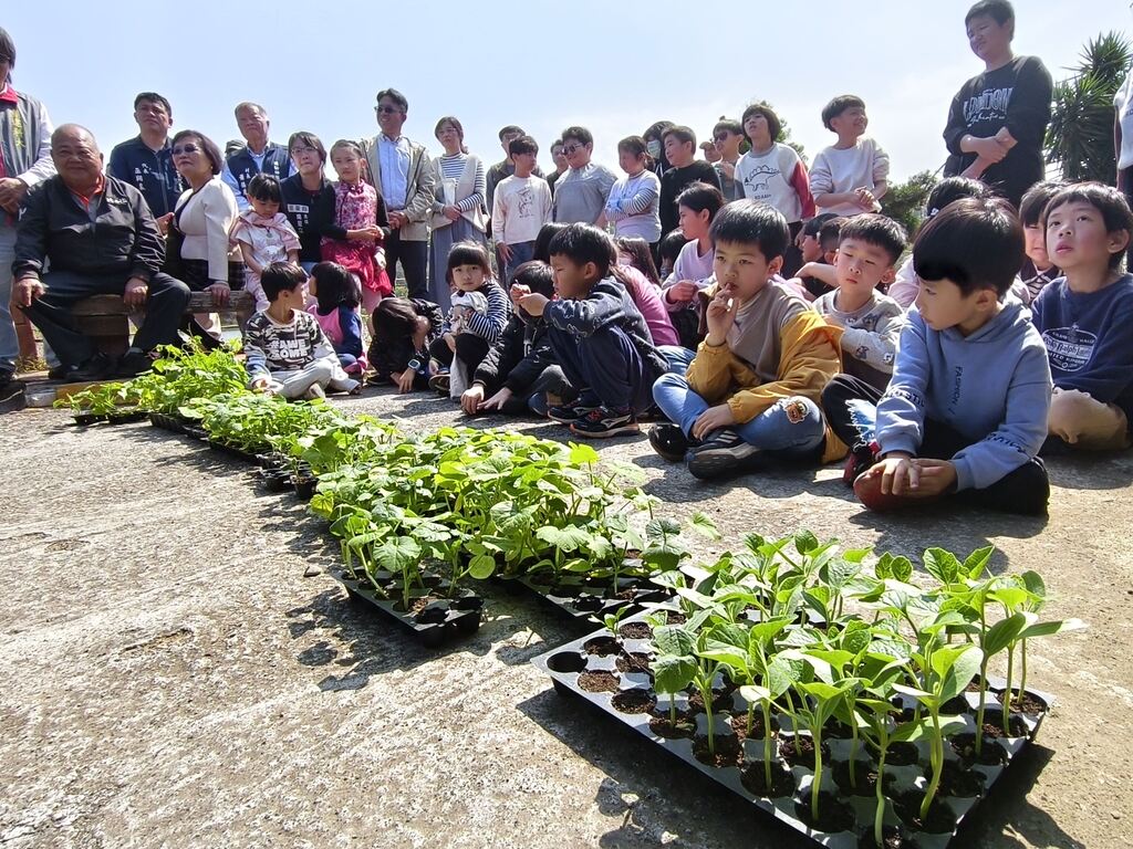 小朋友與南瓜苗