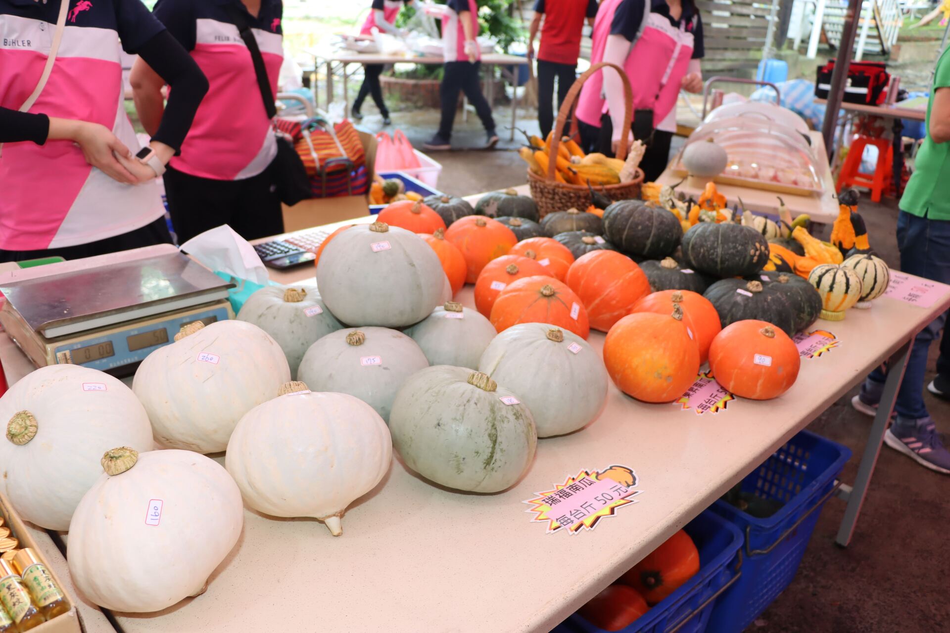 展售的食用南瓜