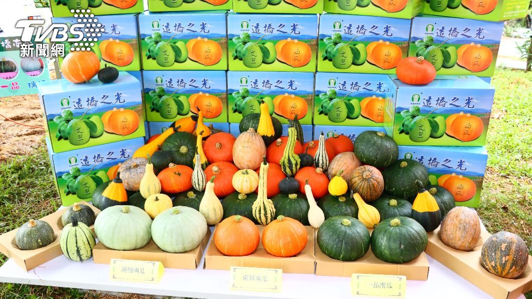 展示全台最多造型的南瓜品種及超大型南瓜