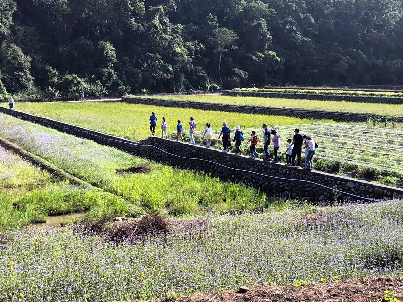 林務局新竹林區管理處歡迎民眾在溫暖春意下與三貓同行友善田區
