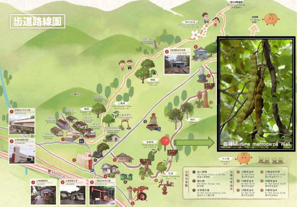 植物生態知多少
