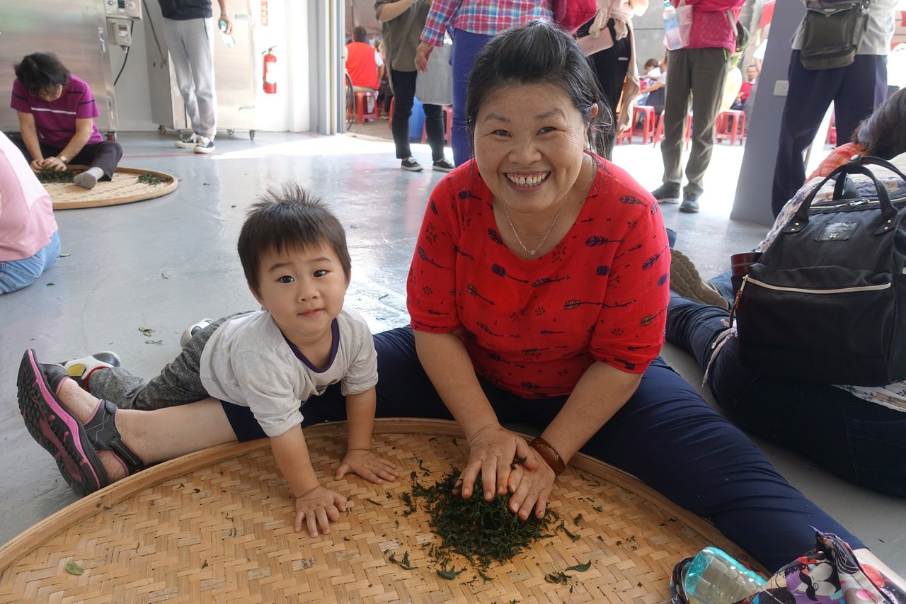 民眾參與茶農一日遊體驗課程，學習製茶相關知識，大家努力「揉茶」。