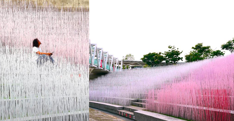 Miaoli shows a sea of pastel-color bamboo sticks as earth art in reception of the Tung flower season in April Miaoli shows a sea of pastel-color bamboo sticks as earth art in reception of the Tung flower season in April
