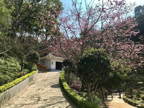 給人一種清淨且無憂的環境 給人一種清淨且無憂的環境