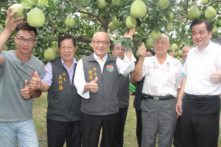 縣長歡迎遊客採購西湖文旦 縣長歡迎遊客採購西湖文旦