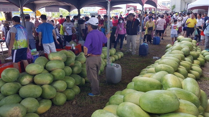 苗栗縣後龍西瓜節活動往年都吸引大批人潮前來，品嘗甜美清涼的西瓜。