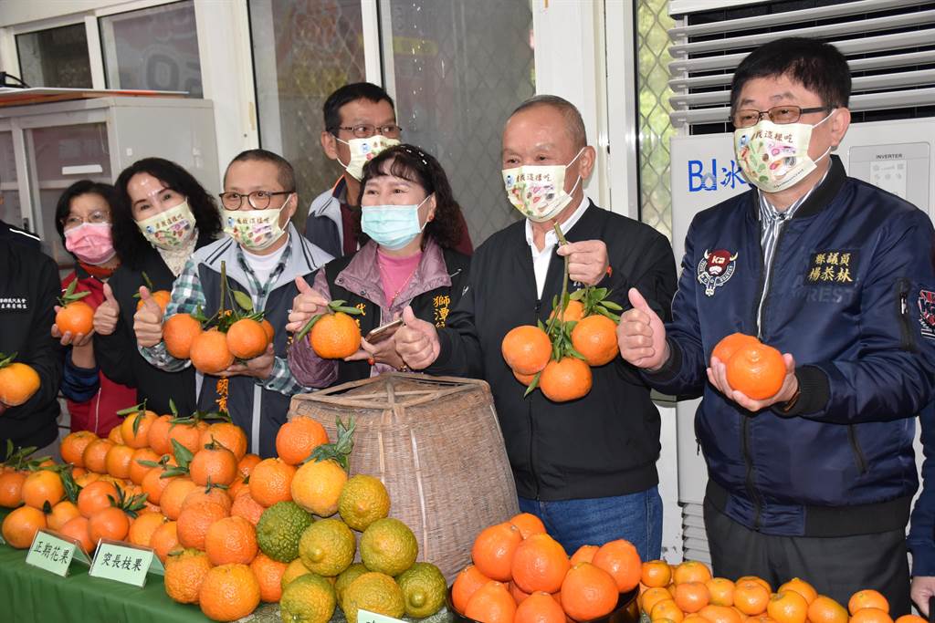 苗栗縣徐耀昌12日在獅潭鄉推銷獅潭鄉桶柑