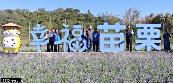 苗栗縣政府在環保之鄉西湖鄉建置「幸福苗栗」薰衣草園區，邀遊客來苗栗幸福小旅行。