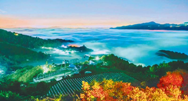 Pick fruits and savor tea in Miaoli’s agricultural villages
