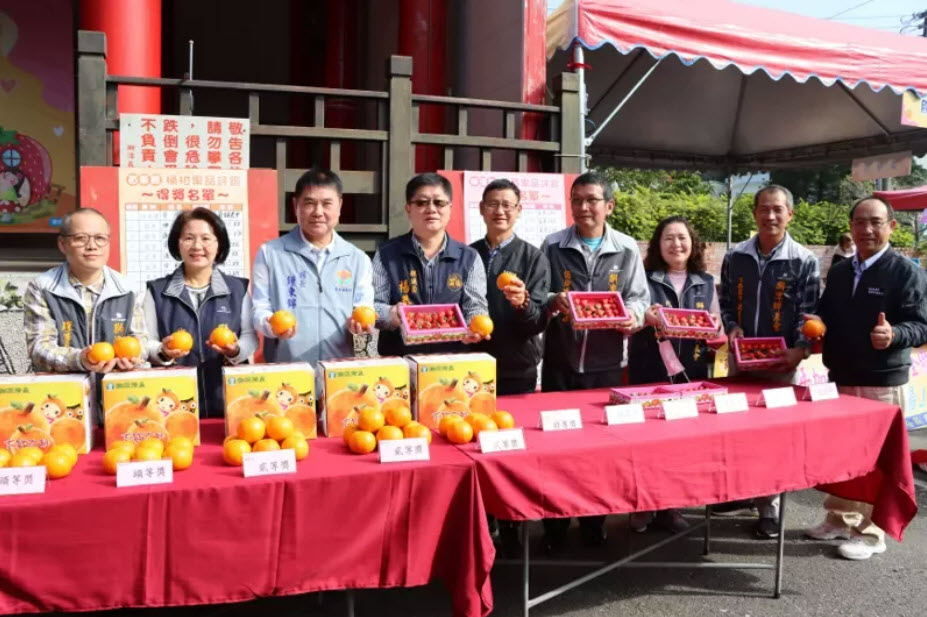 苗栗縣獅潭鄉「橘莓戀」系列活動行銷柑橘、桶柑，縣長鍾東錦等人今天並頒獎表揚評鑑比賽優勝農民