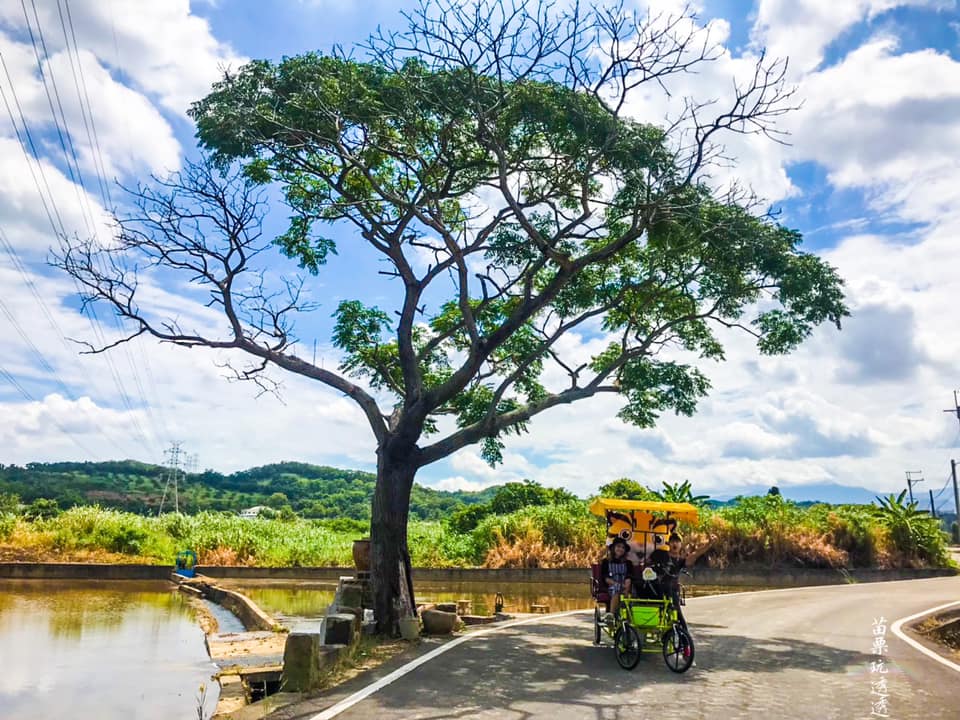 農村風情與自然田園風光