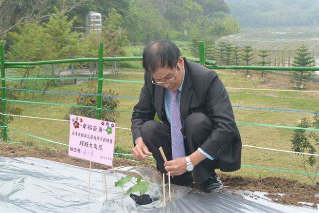 造橋鄉長黃天貴籌備6月南瓜節，親手種下超級大南瓜祈求產季豐收。