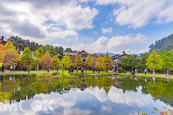 雲水度假森林被網友票選為落羽松十大秘境之一