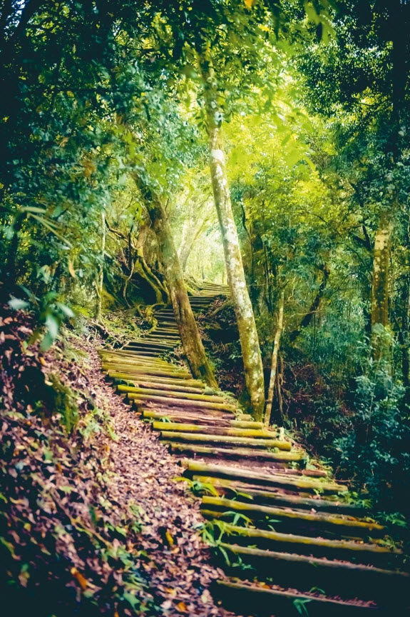 馬拉邦山步道不但能夠眺望壯麗聖稜線的，還可飽覽大霸尖山至雪山之間的聖稜線，景色壯闊秀麗