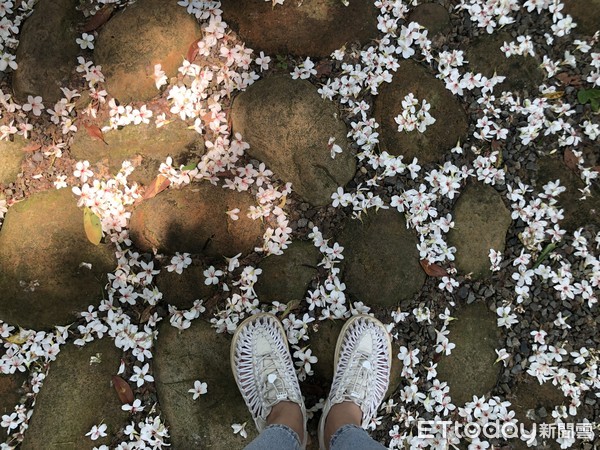 鵝卵石花毯小徑 鵝卵石花毯小徑