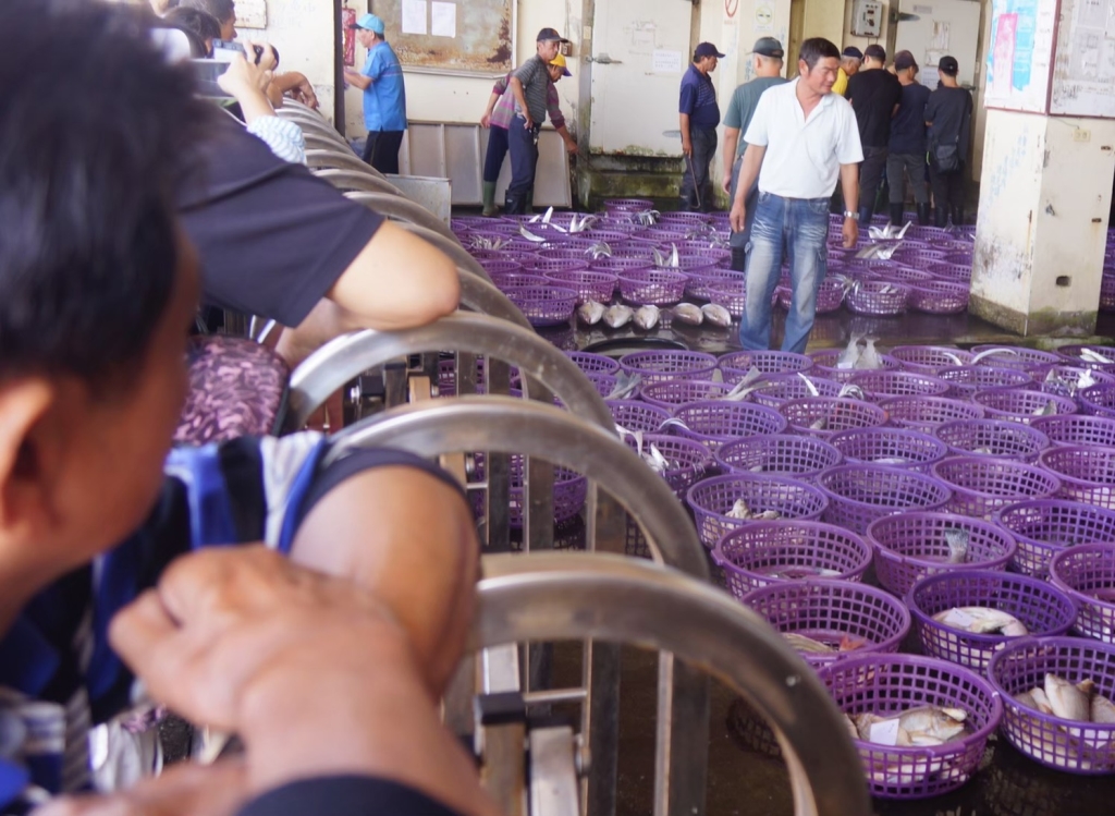 Longfeng Fishing Port Fresh Fishery Auction Market Longfeng Fishing Port Fresh Fishery Auction Market